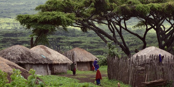 Mindfulness/wandelsafari/ Arusha National Park