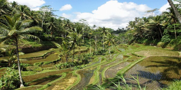 Spirituele Rondreis voor 2 pers. naar Java, Indonesië 