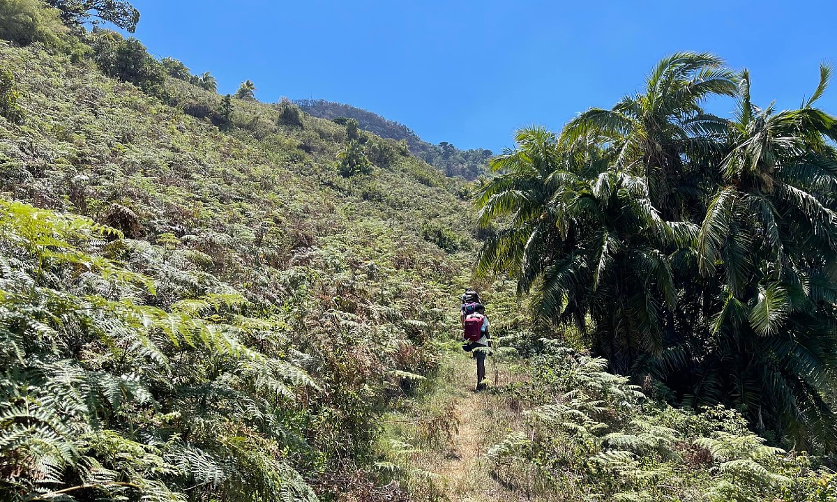 Wandelsafari Mannen retreat - mannen reis tanzania 