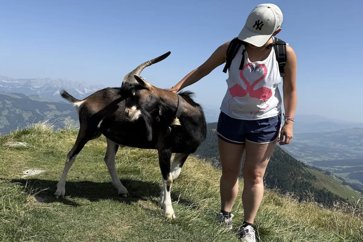 Solo coaching retraite Alpen Oostenrijk - soloreis 1.