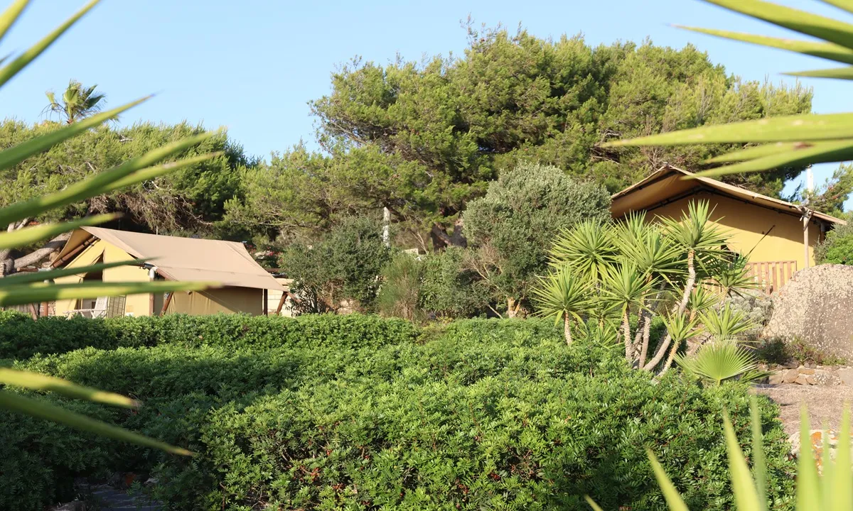 7-daags yoga retraite aan zee Sardinië - diana 11.