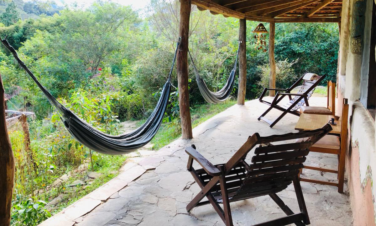 Ayahuasca retraite: Het Amazone Plantdieet - casa luna