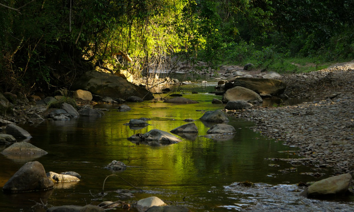 Ayahuasca retraite: Het Amazone Plantdieet - rivier 2