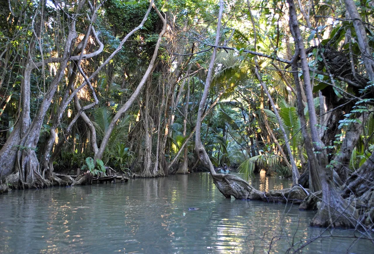 Meezeilreis Caraïben - Guadeloupe - Iles de Saintes - 4.
