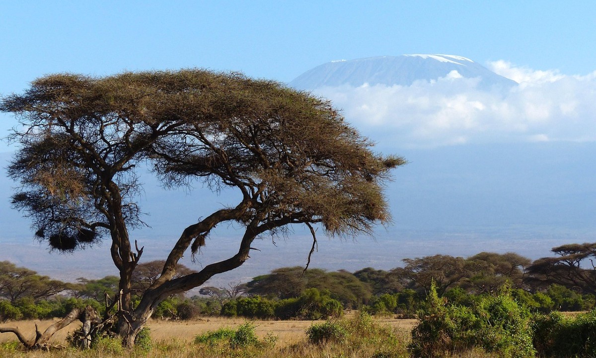 Ontdek Tanzania, bekijk de rondreis